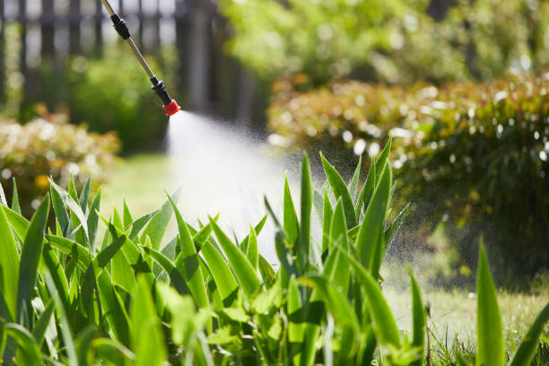 24/7 Emergency Wasp Removal experts in Columbia, SC