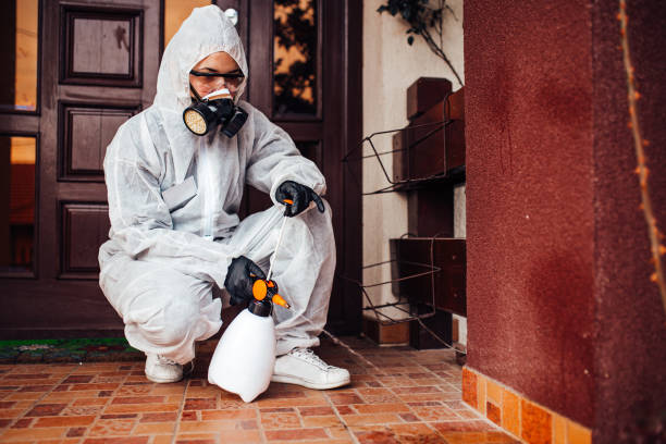 Reliable Wasp Removal contractor in Columbia, SC by Show Me Pest Control